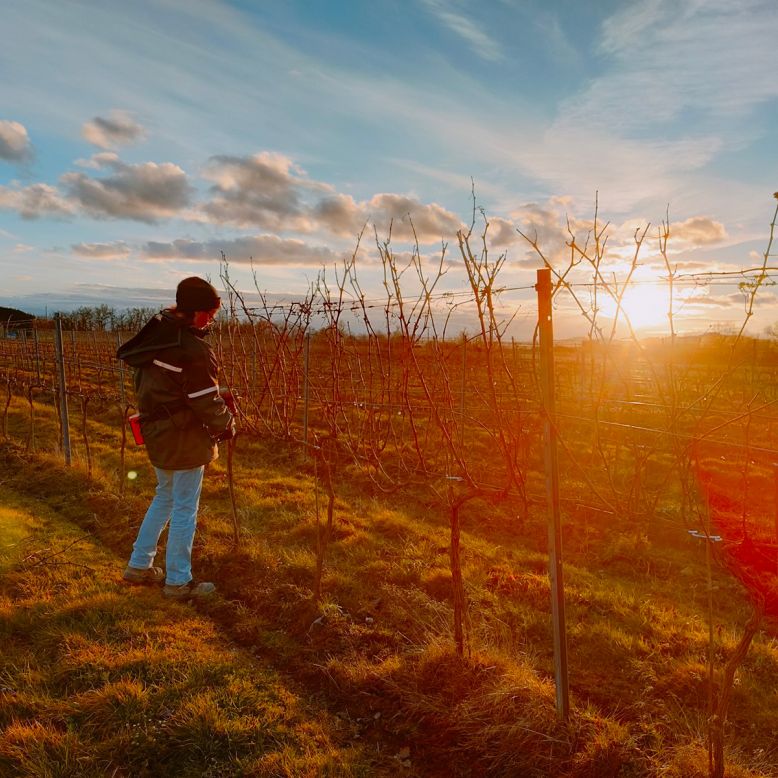 Domaine Le Montaltais