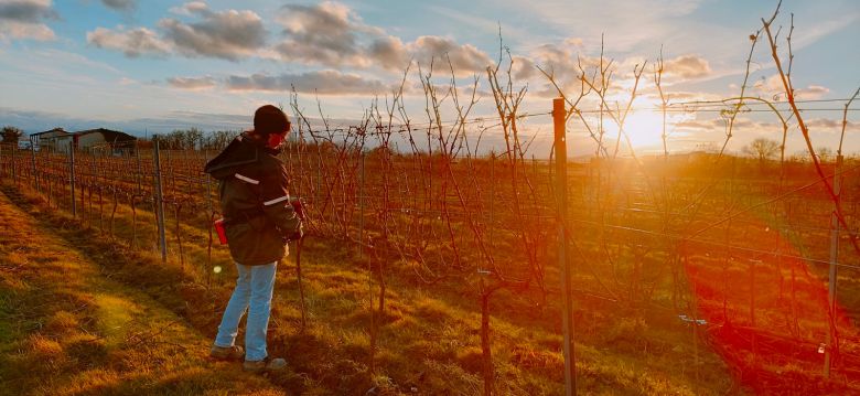 Domaine Le Montaltais