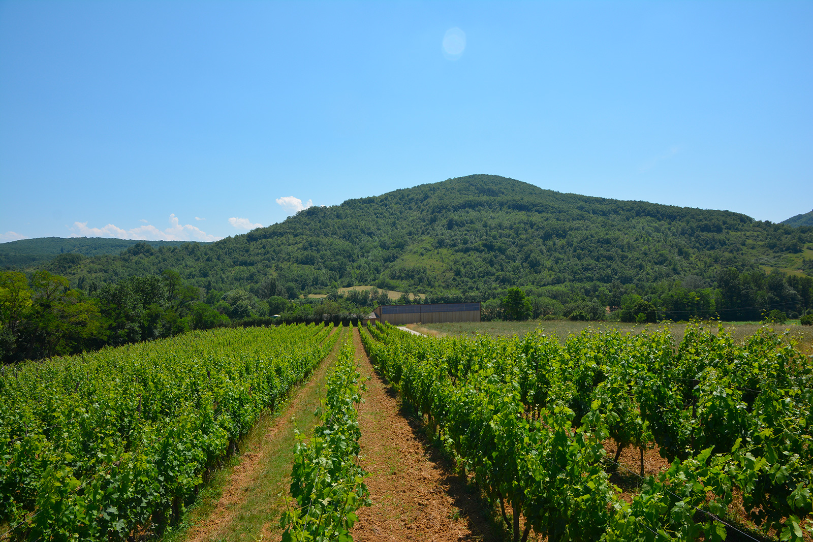 Domaine des Coteaux d'Engraviès