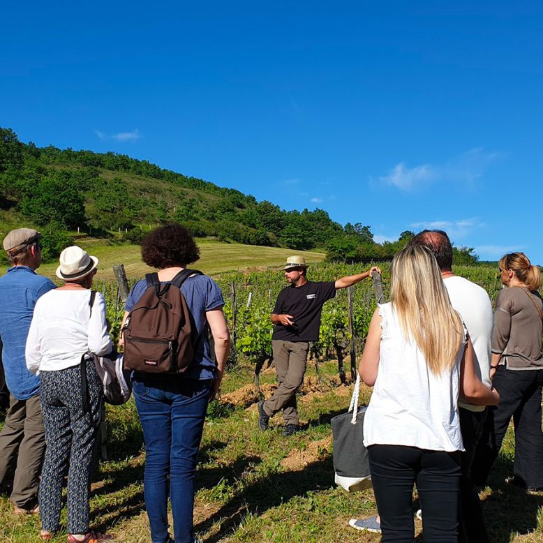 Domain of the Coteaux of Engraviès