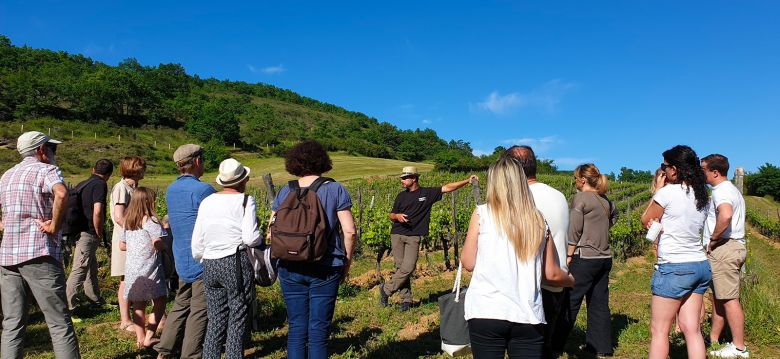 Domain of the Coteaux of Engraviès
