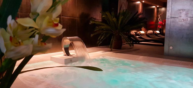 Spa de l'hôtel Palladia