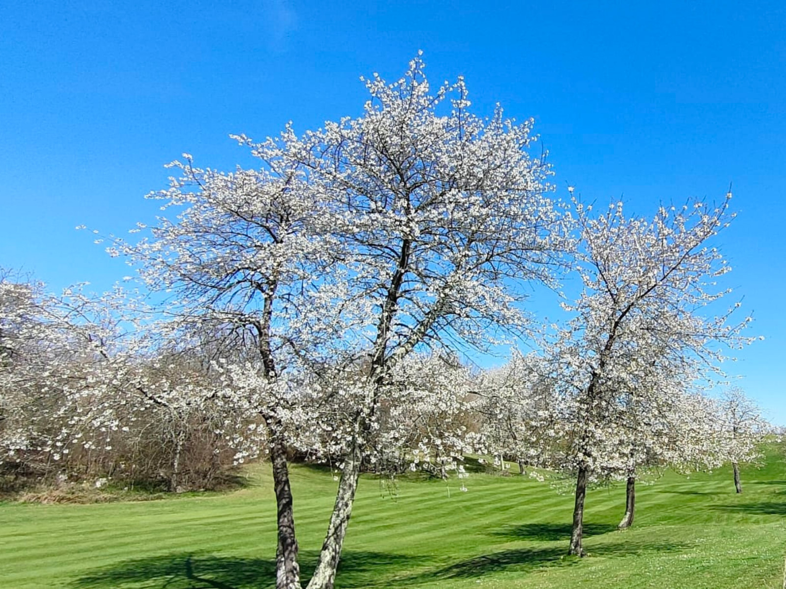 Ecogolf Ariège Pyrénées