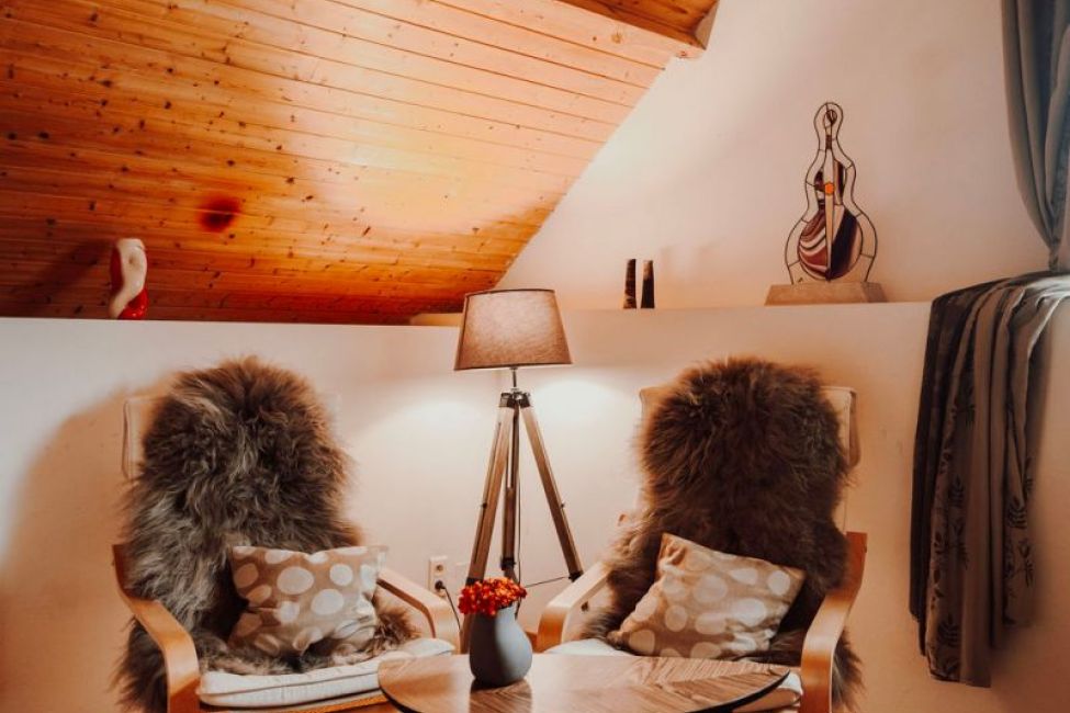 Les Perséides - © Margaux Vilain