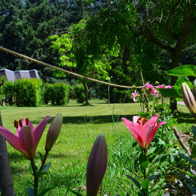 Les Gîtes de Beille