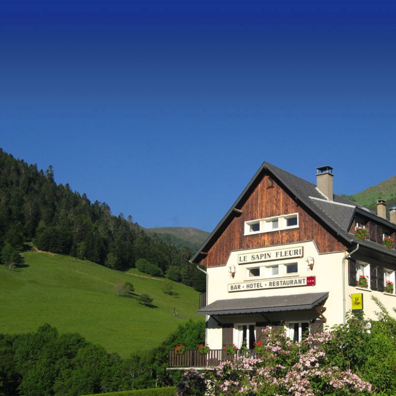 Hôtel Restaurant le Sapin Fleuri