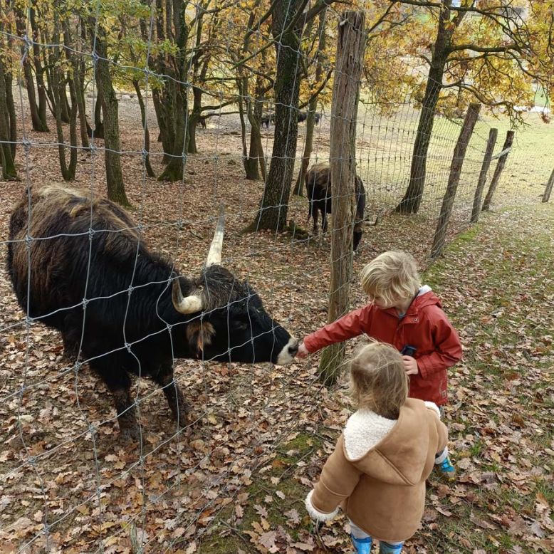 La Ferme aux bisons