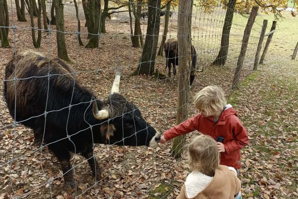 Parc Animalier de Lapenne