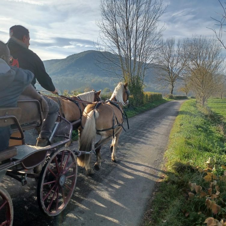 Les Destriers de Saint Bertrand - Horse-drawn carriage rides and pony treks in Haute-Garonne