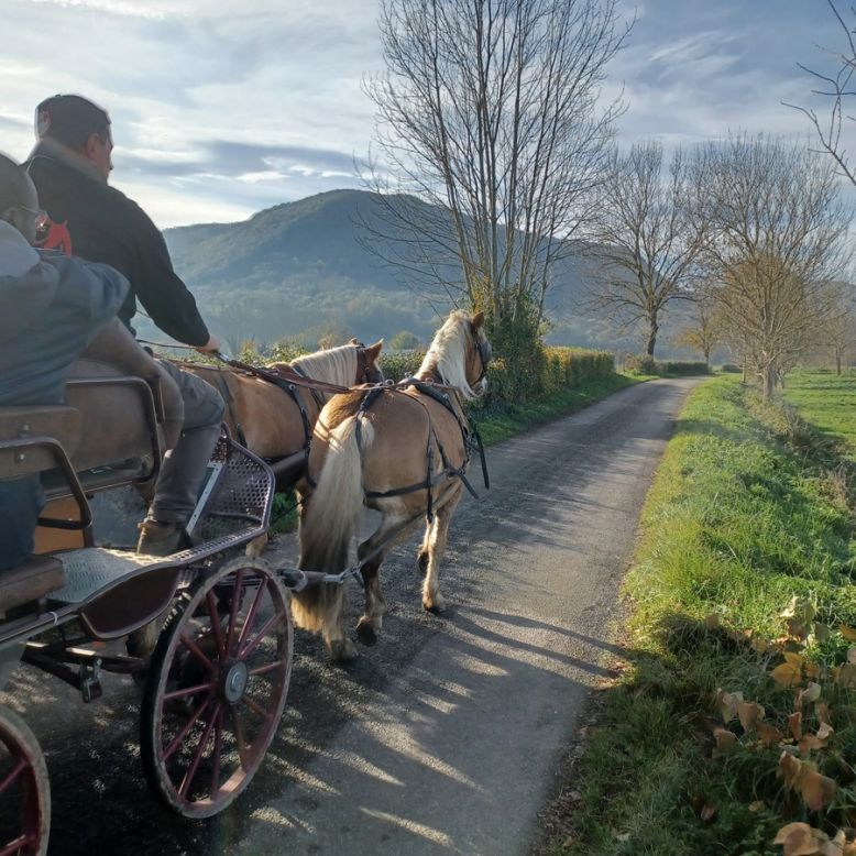 Les Destriers de Saint Bertrand
