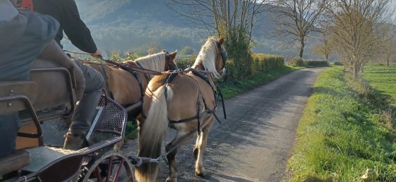 Les Destriers de Saint Bertrand