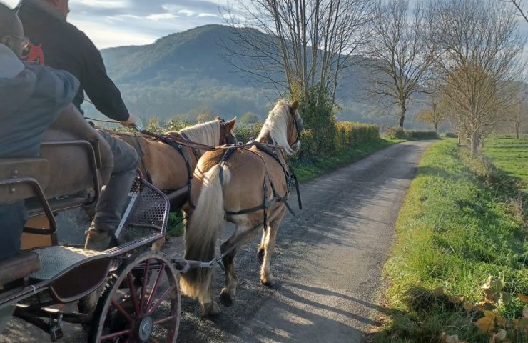Les Destriers de Saint Bertrand