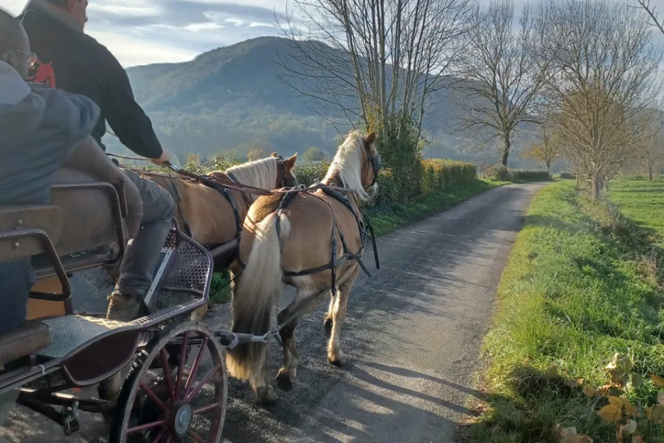 Les Destriers de Saint Bertrand