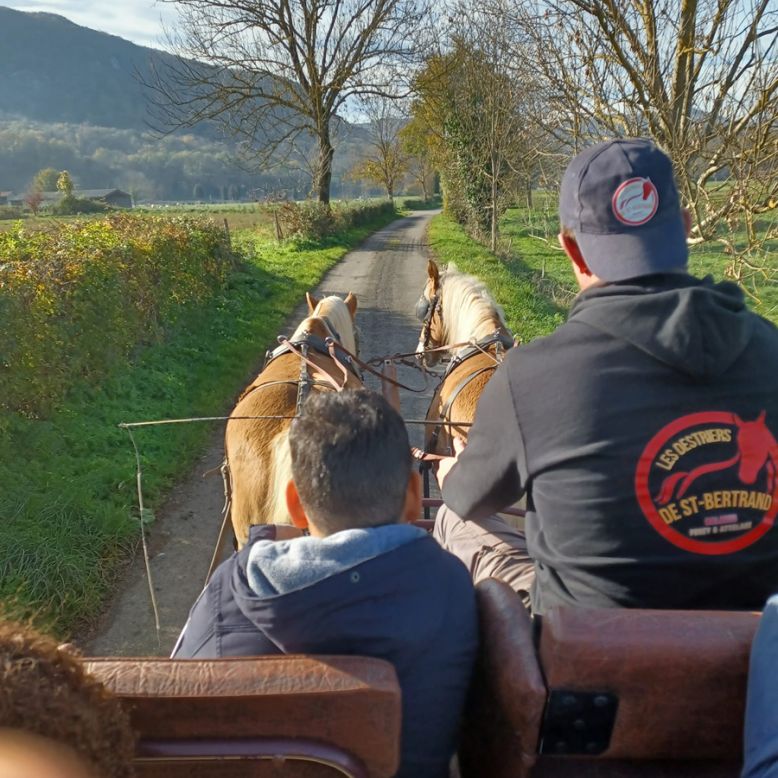Les Destriers de Saint Bertrand