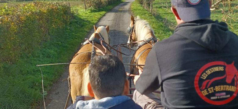 Les Destriers de Saint Bertrand
