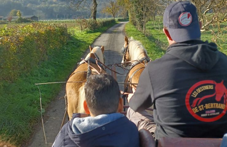 Les Destriers de Saint Bertrand