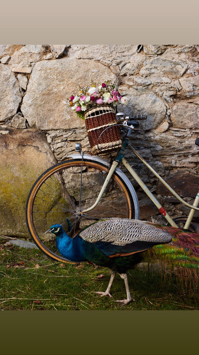 Les Jardins de Jouanlane