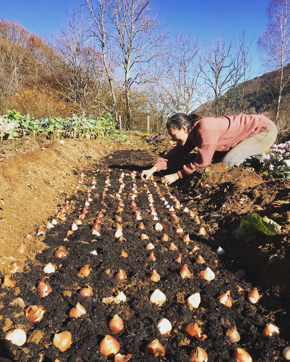 Les Jardins de Jouanlane