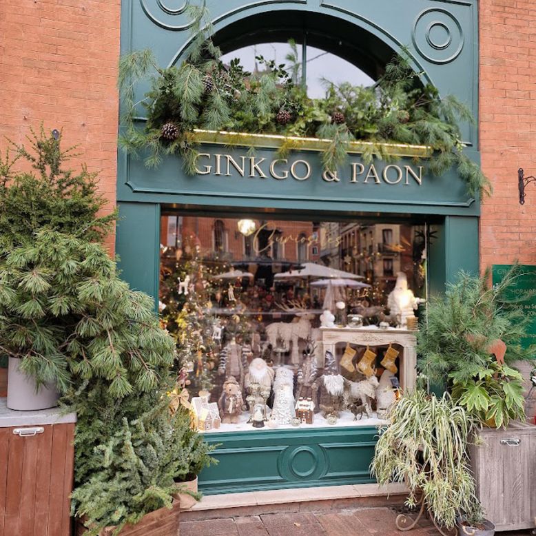 Ginkgo & Paon Curiosités