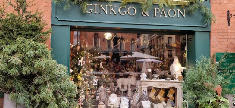 Ginkgo & Paon Curiosités