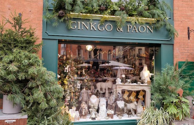 Ginkgo & Paon Curiosités