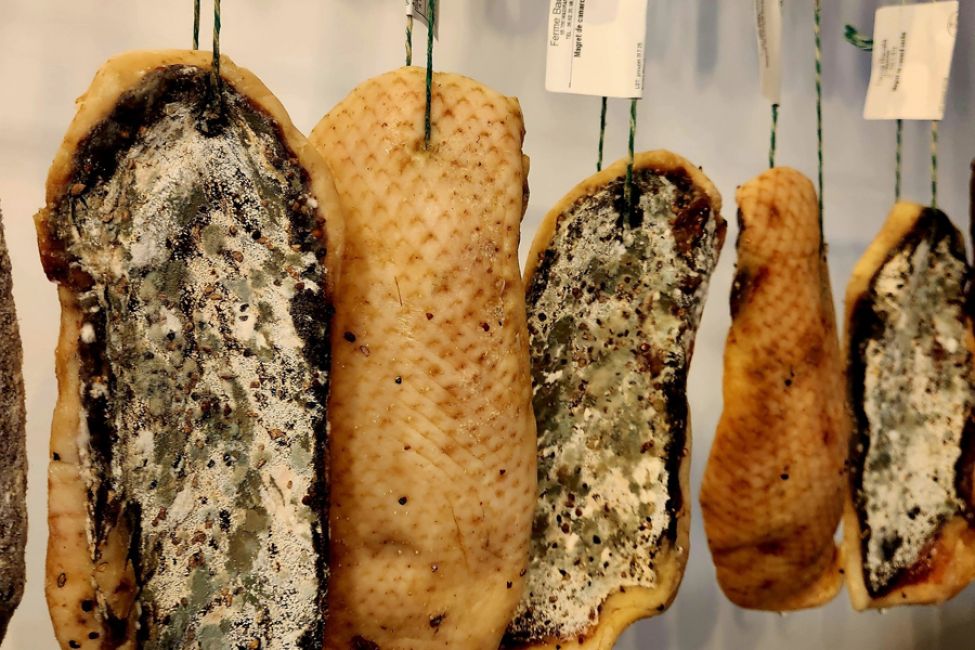 Les Saveurs de Madiran