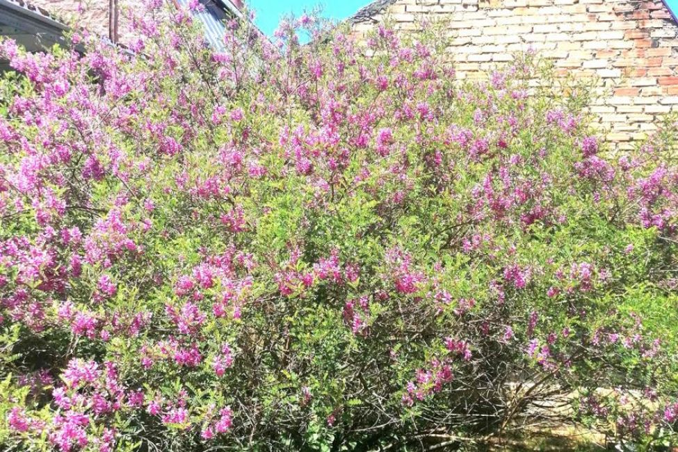 Musée du Textile et du peigne en corne