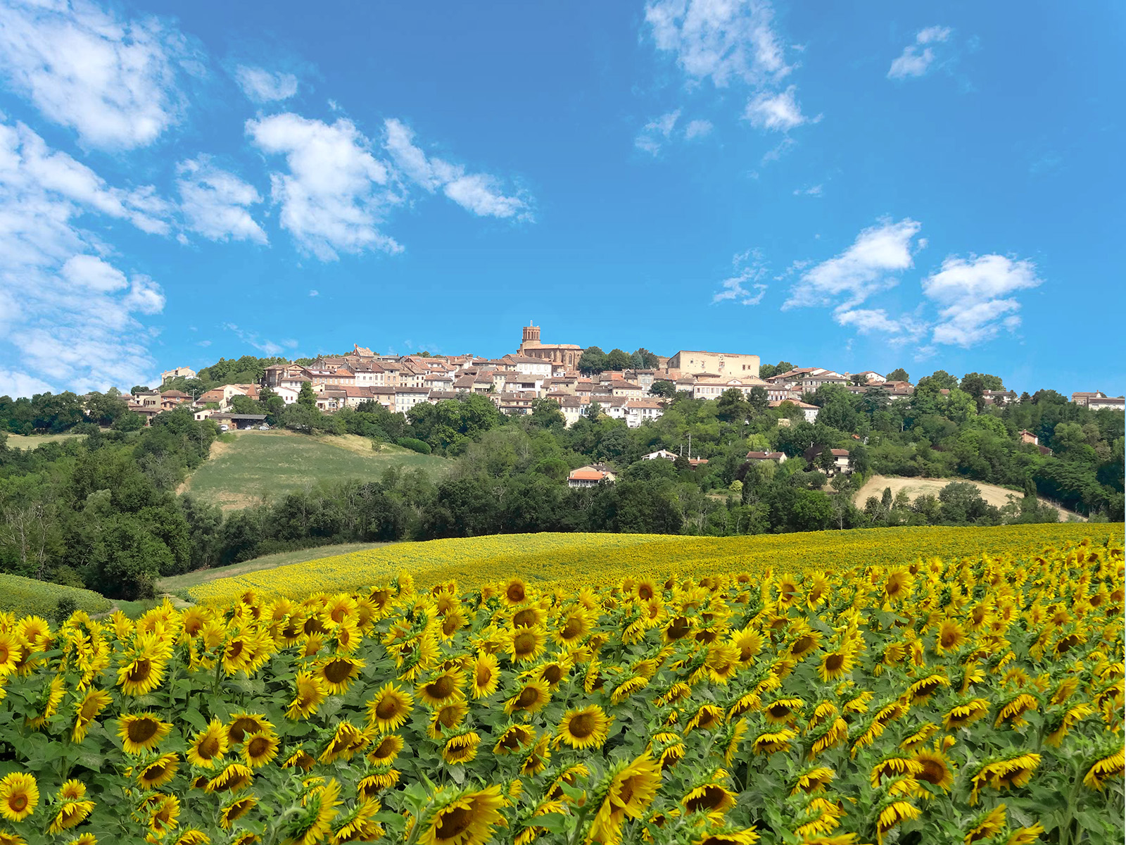 Office de Tourisme des Coteaux du Girou