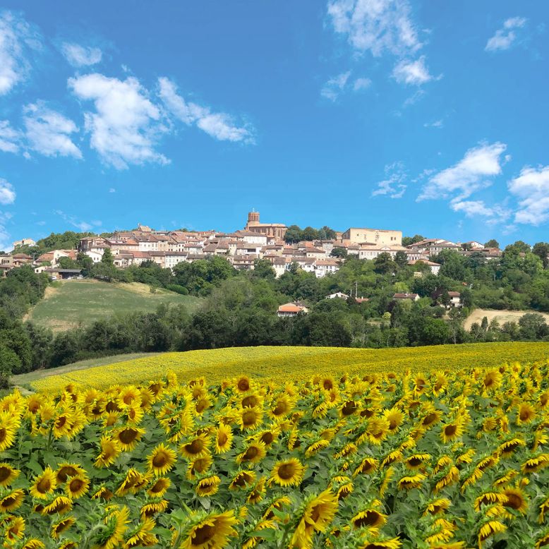 Office de Tourisme des Coteaux du Girou