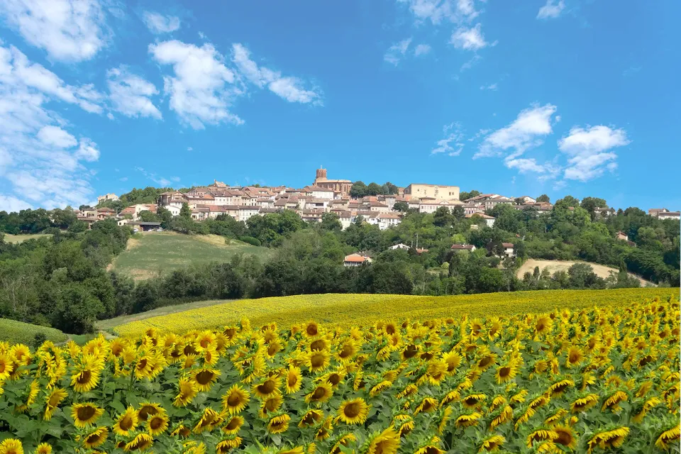 Office de Tourisme des Coteaux du Girou