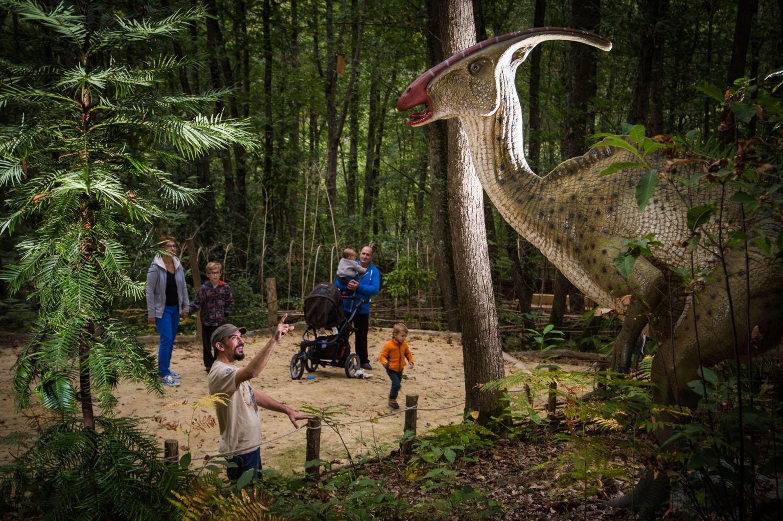Xploria La forêt à explorer le temps
