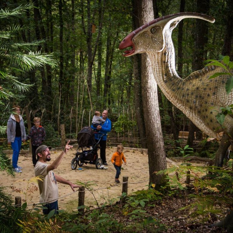 Xploria La forêt à explorer le temps