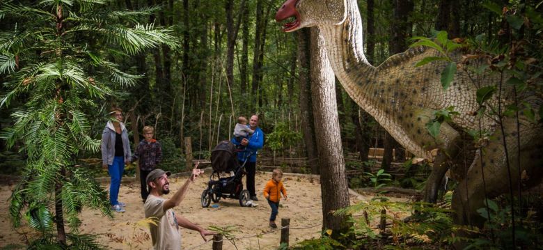 Xploria La forêt à explorer le temps