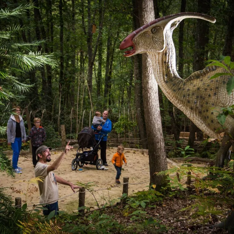 Xploria La forêt à explorer le temps