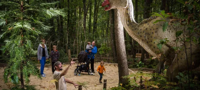 Xploria La forêt à explorer le temps