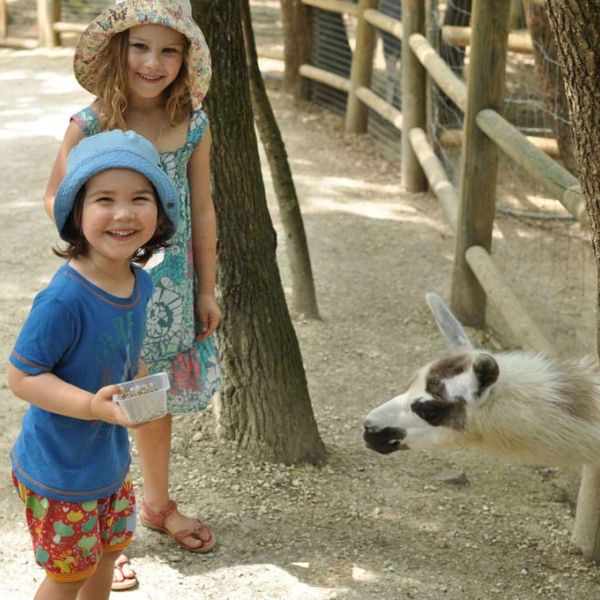 AnimaParc® Occitanie - Partagez sensations et émotions en famille