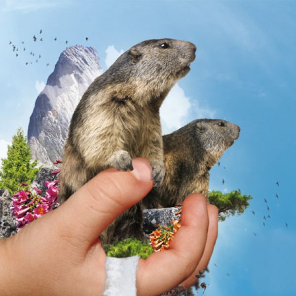 Visitez l'un des plus grands parcs d’animaux e ...