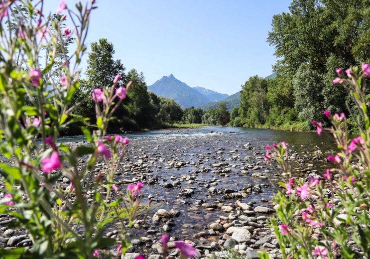 La pêche à la truite des Pyrénées