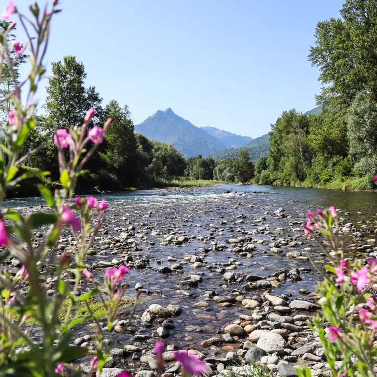 Trout fishing in the Pyrenees