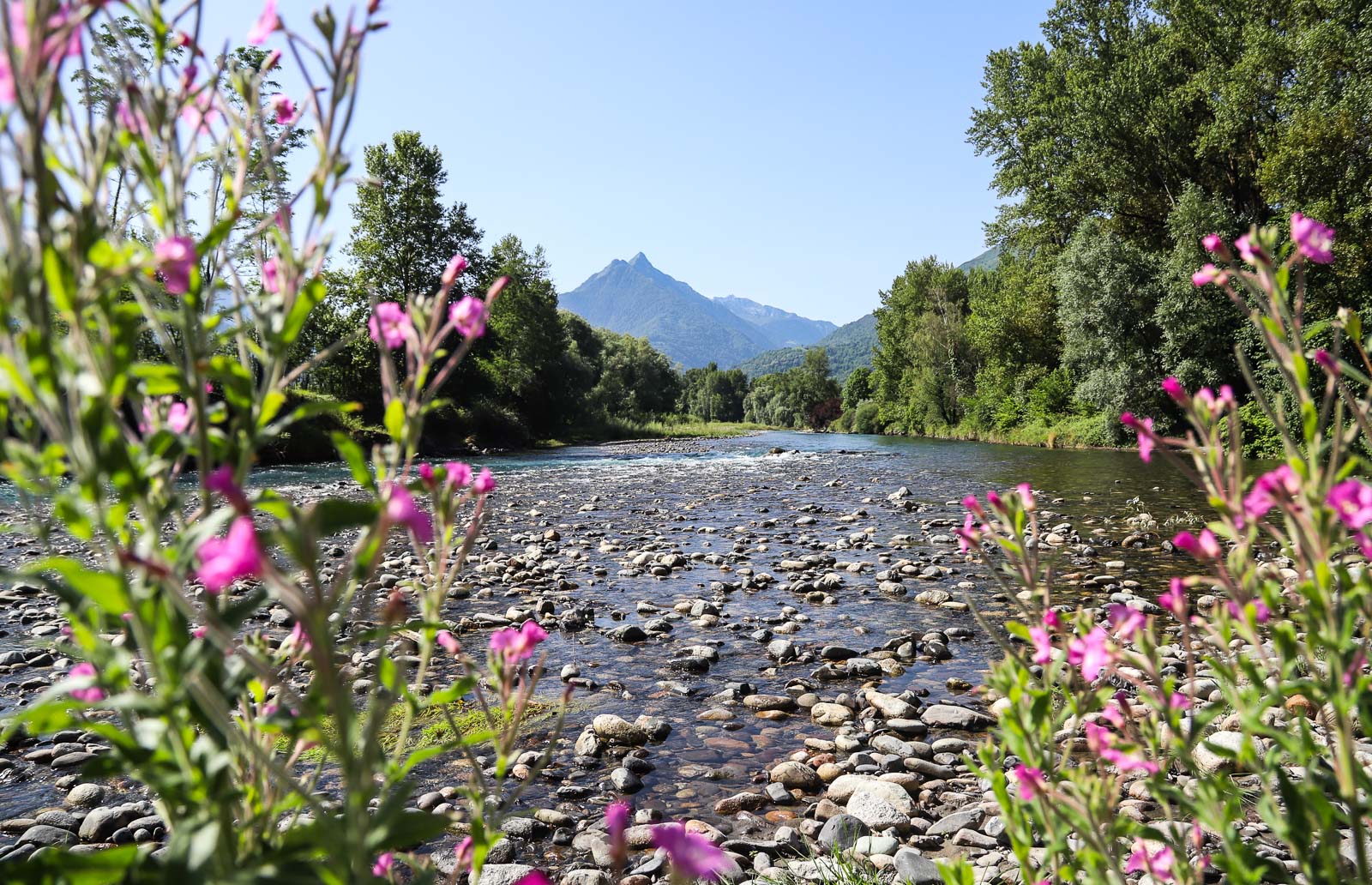 Pyrenean trout fishing