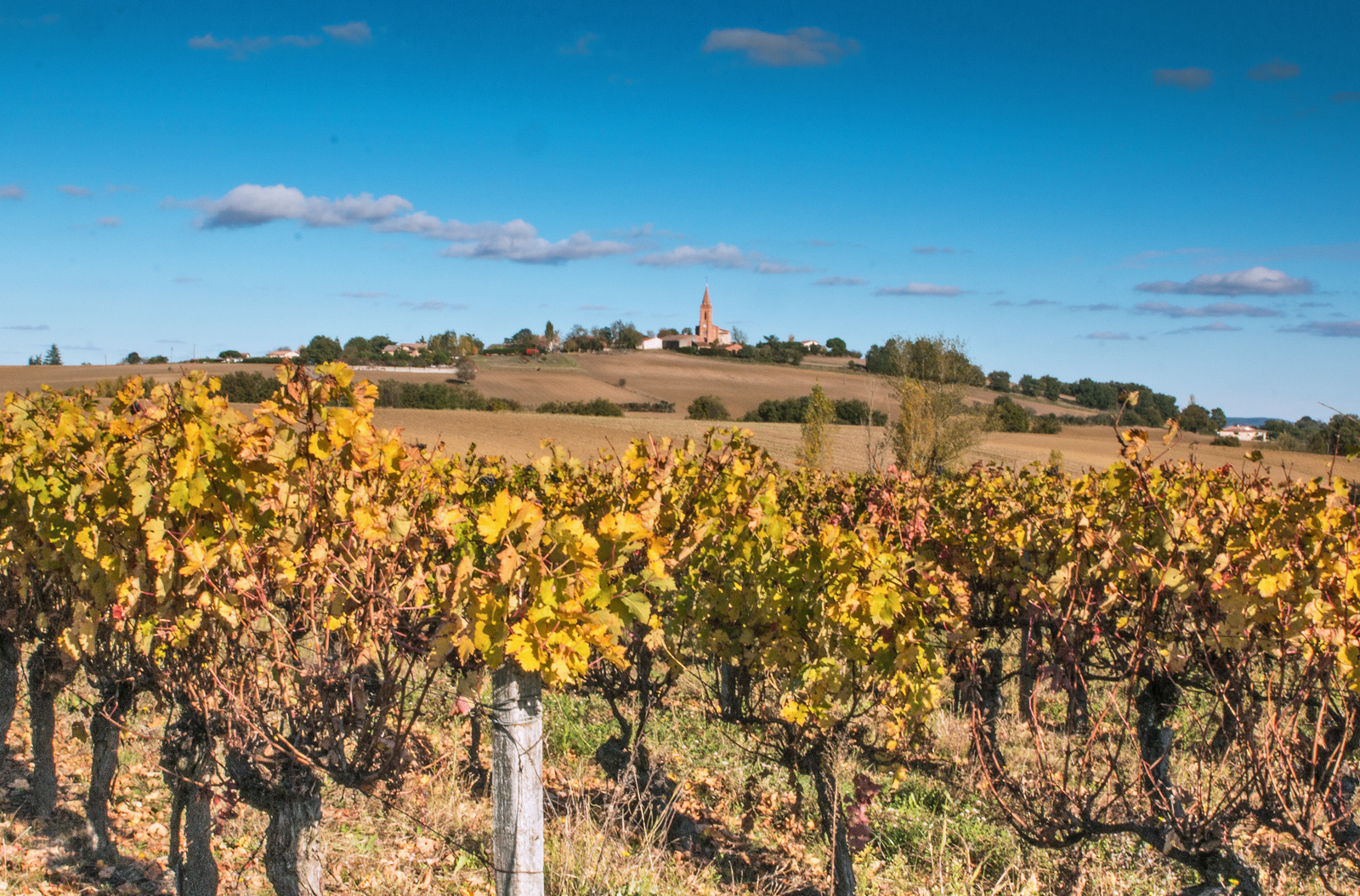 The vineyards to disc ...