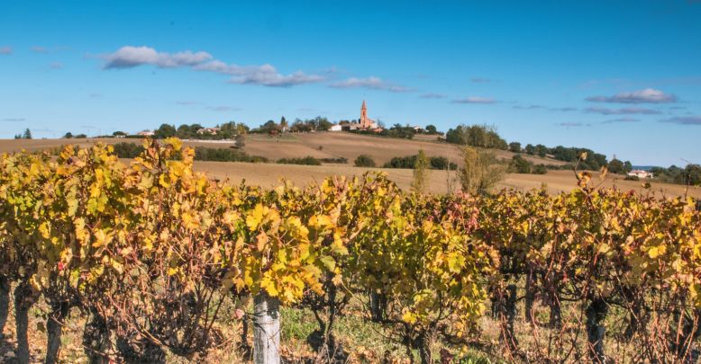 The vineyards to discover around Toulouse
