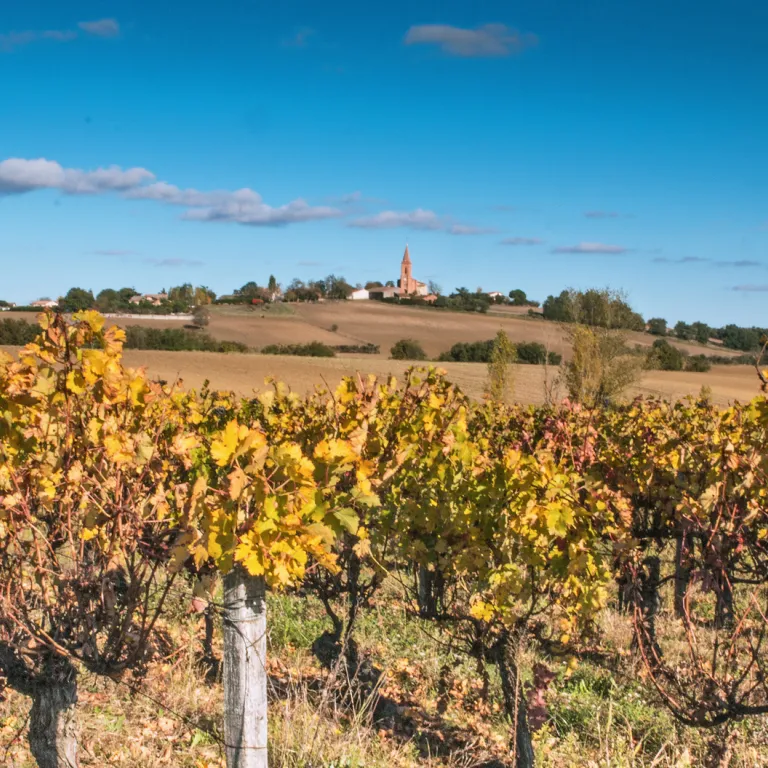 Les vignobles à découvrir autour de Toulouse
