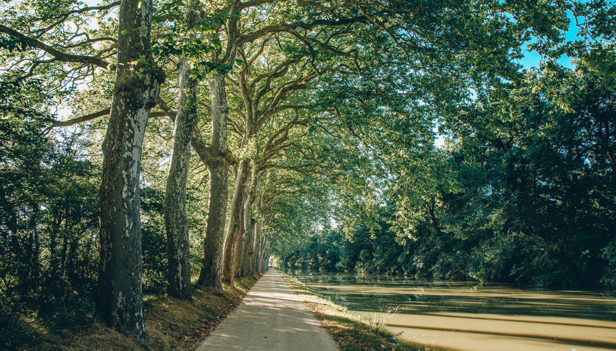 Le Canal du Midi à vélo, en Haute Garonne depuis Toulouse