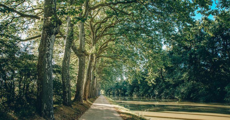 El Canal du Midi en bicicleta, en Haute Garonn ...