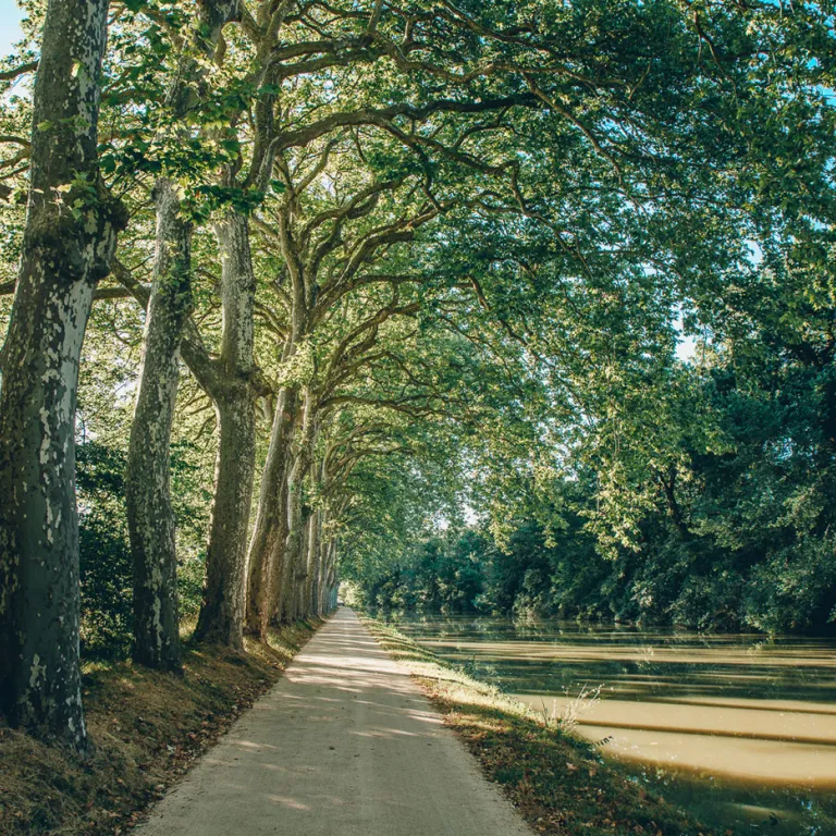 El Canal du Midi en bicicleta, en Haute Garonn ...