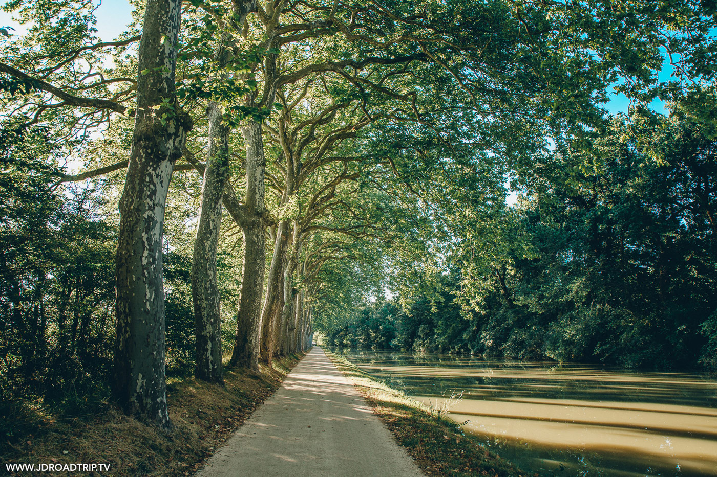 The Canal du Midi by bike, in Haute Garonne fr ...