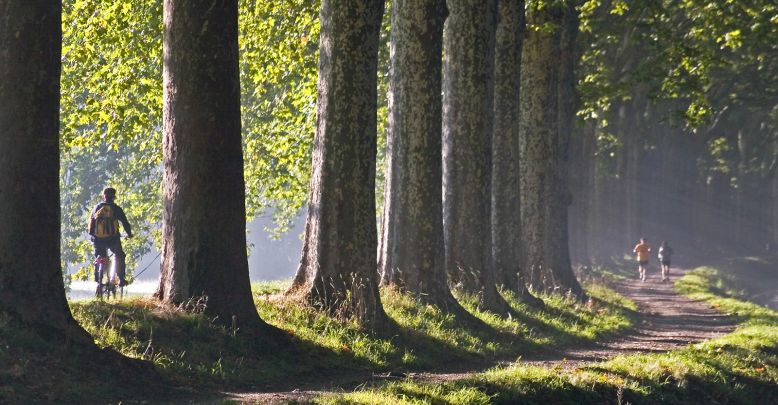 Where to do outdoor sports in Toulouse?