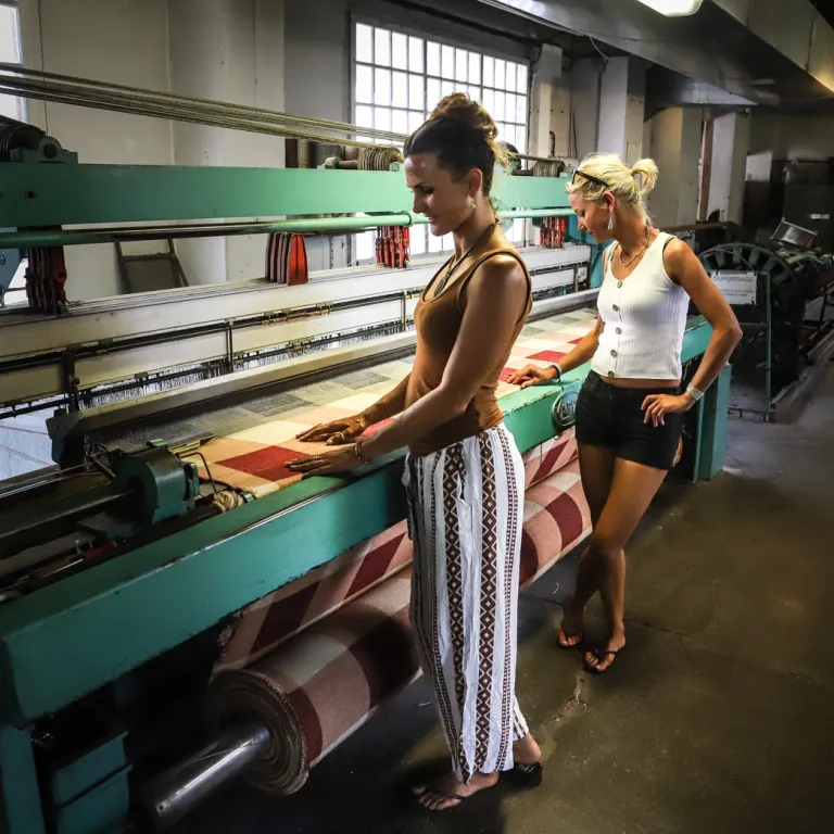 Wool from the Pyrenees : production and secret ...
