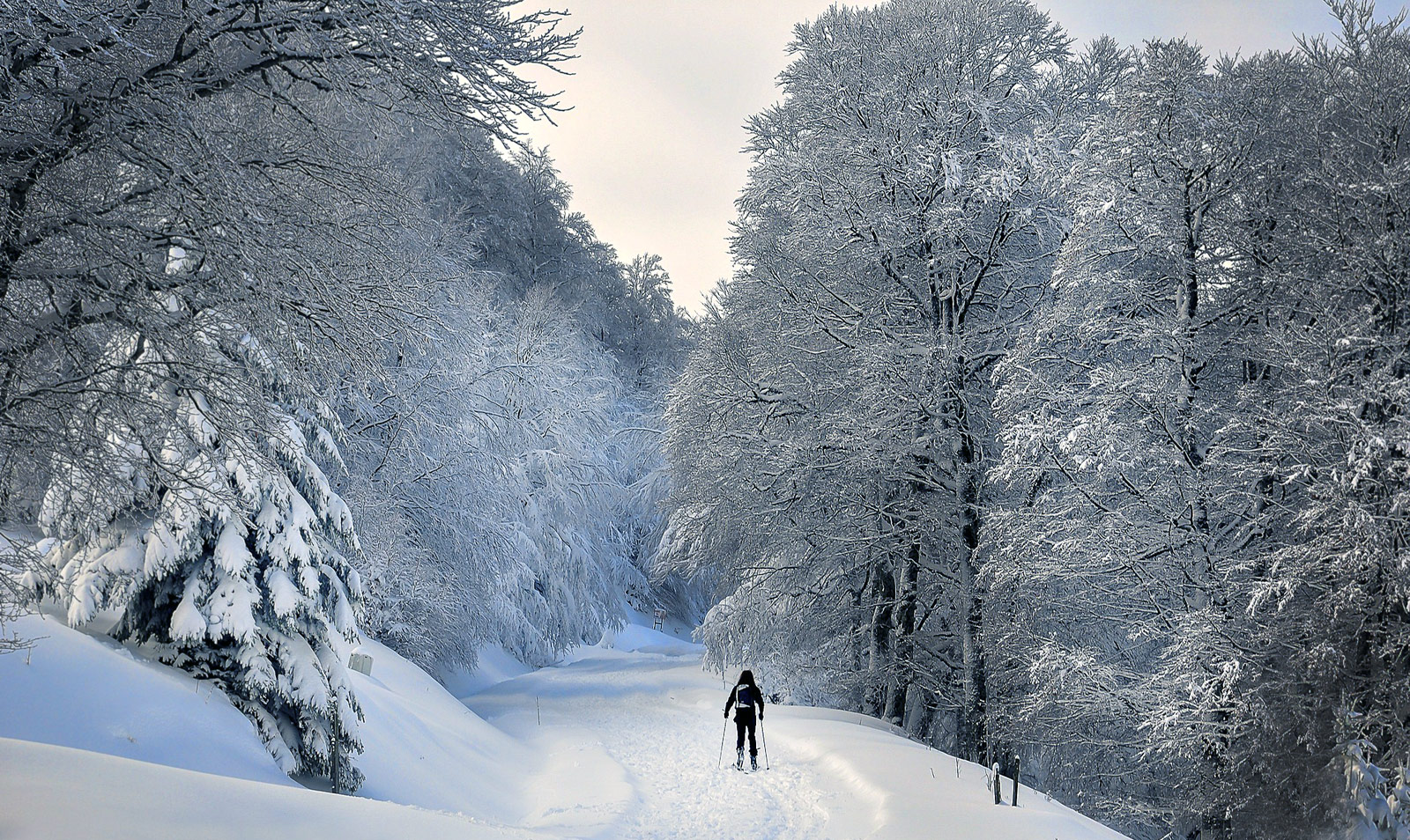 Que faire dans les Pyrénées l'Hiver ?